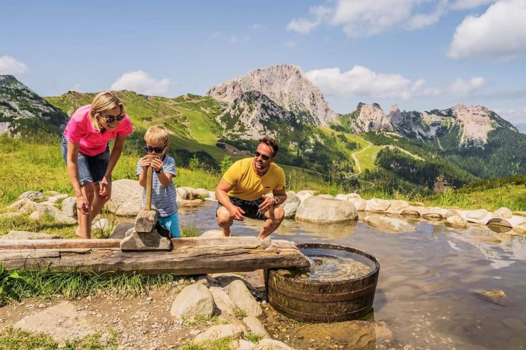 Apartment Wild - Im Skigebiet Gerlitzen & Ossiacher See بودينسدورف المظهر الخارجي الصورة
