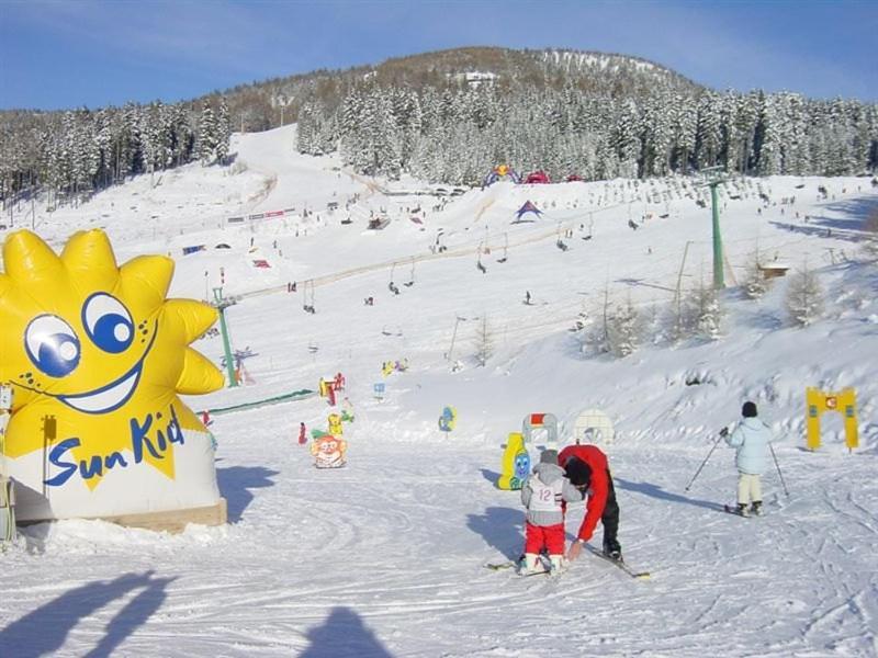 Apartment Wild - Im Skigebiet Gerlitzen & Ossiacher See بودينسدورف المظهر الخارجي الصورة